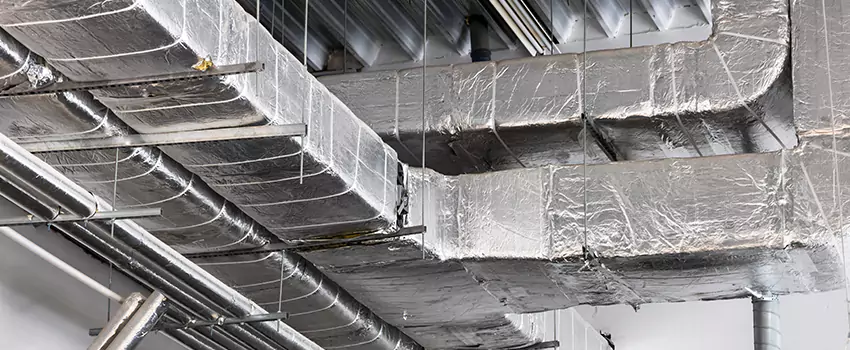 Vent Dust Cleaning Cost in Alamo, TX