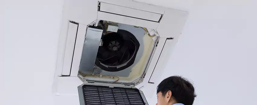 Benefits of Professional Air Duct Cleaning in Alamo, Texas