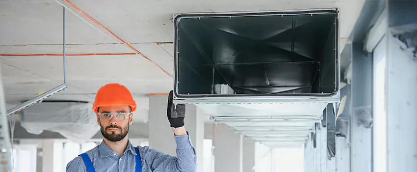 Clogged Air Duct Cleaning and Sanitizing in Alamo, TX
