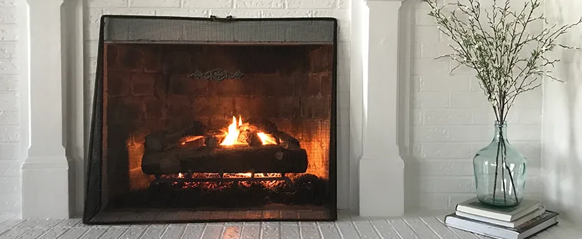 Cost-Effective Fireplace Mantel Inspection And Maintenance in Alamo, TX