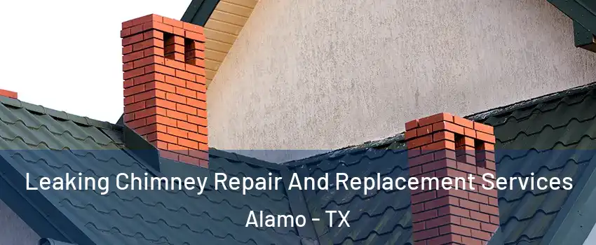  Leaking Chimney Repair And Replacement Services Alamo - TX