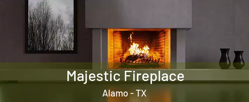  Majestic Fireplace Alamo - TX