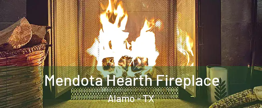  Mendota Hearth Fireplace Alamo - TX