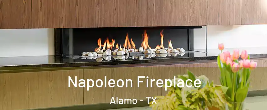  Napoleon Fireplace Alamo - TX