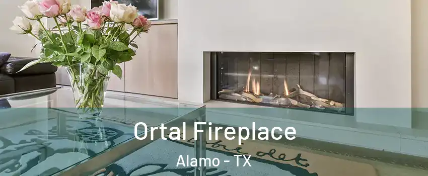 Ortal Fireplace Alamo - TX