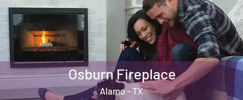  Osburn Fireplace Alamo - TX