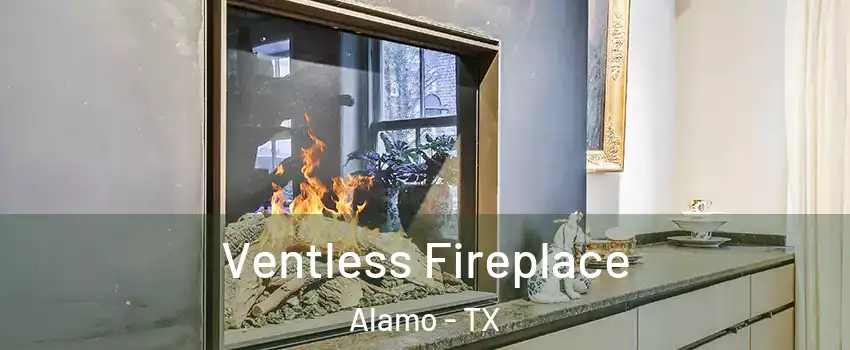  Ventless Fireplace Alamo - TX