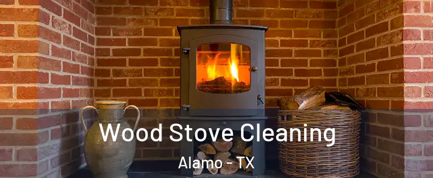  Wood Stove Cleaning Alamo - TX